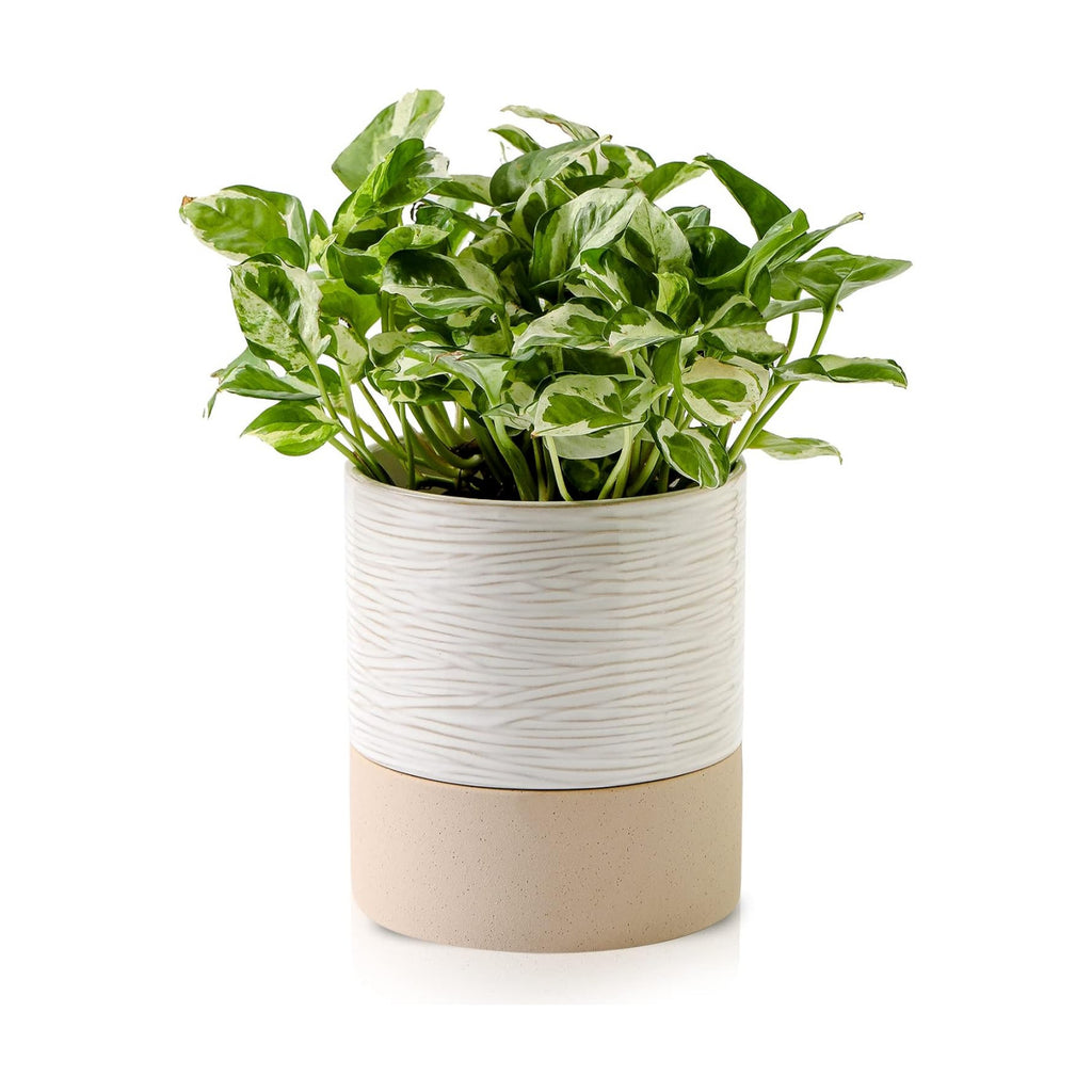 Nihow Ceramic Self Watering Plant Pot for Indoor Plants, 6 Inch,Cream White | Planter with Cotton Wick, Drainage Hole &