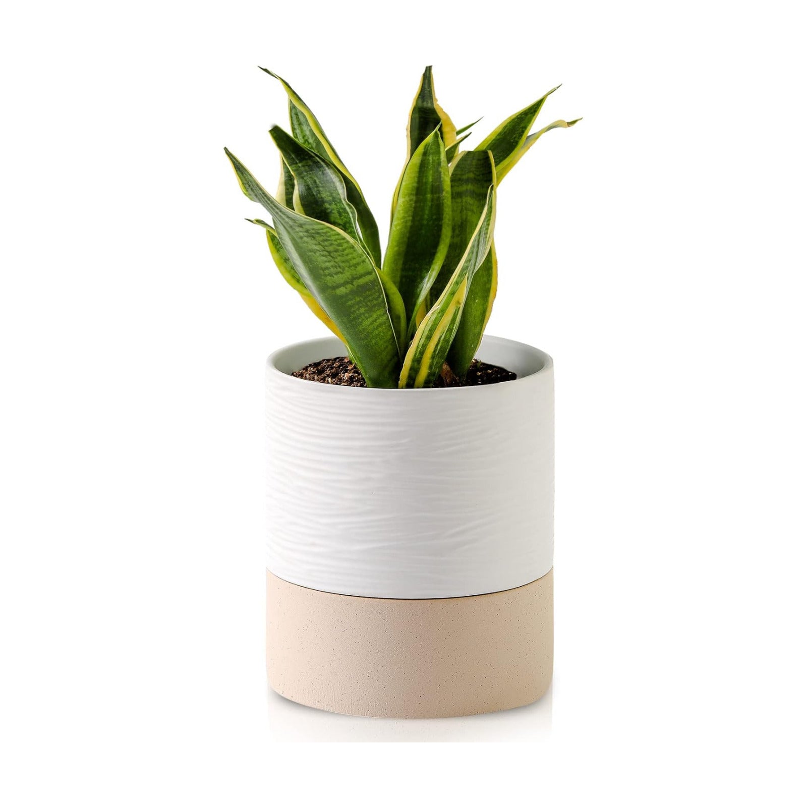 Nihow Ceramic Self Watering Plant Pot for Indoor Plants,6 Inch,White | Planter with Cotton Wick, Drainage Hole & Water