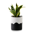Nihow Ceramic Self Watering Plant Pot for Indoor Plants,6 Inch,White Black
