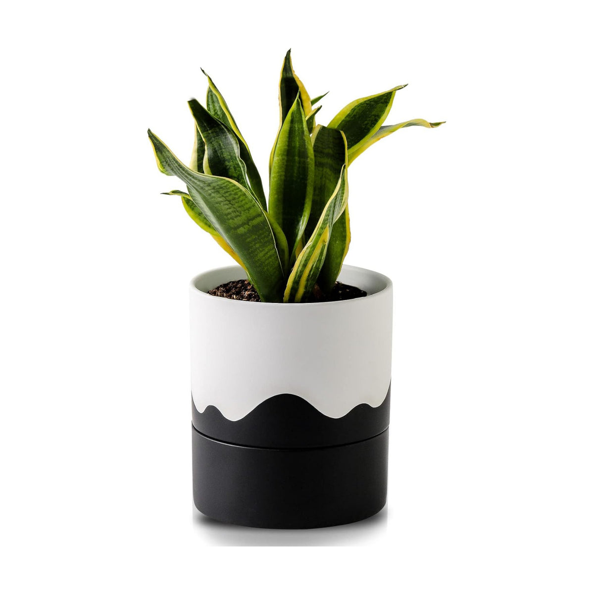 Nihow Ceramic Self Watering Plant Pot for Indoor Plants,6 Inch,White Black