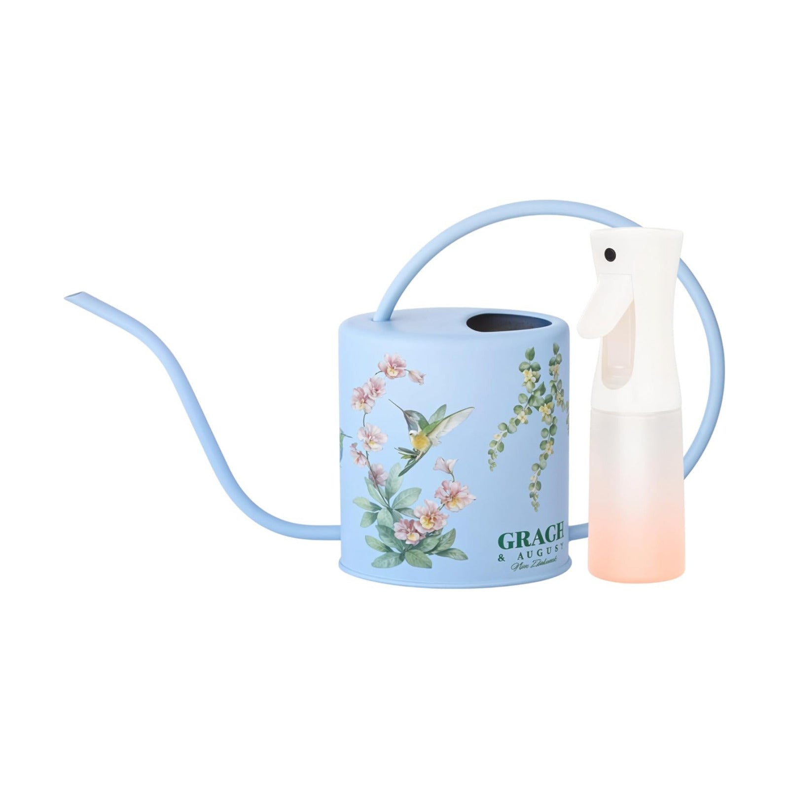 Indoor Watering Can & Mist Spray Bottle Set for Indoor Plants - Decorative | Gooseneck Long Spout, Stainless Steel