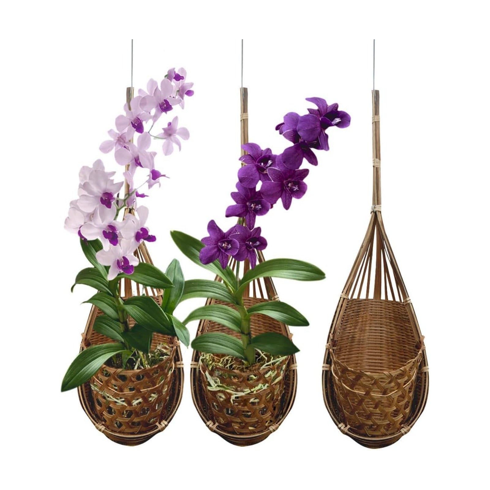 Handmade 100% Thai Bamboo Hanging Orchid Basket – 4 Inch Set of 3