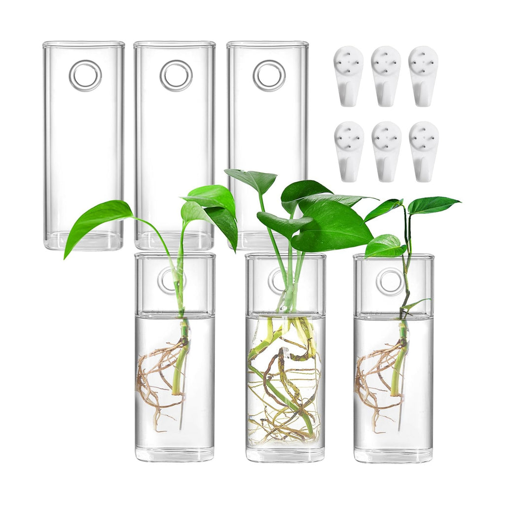 Fasmov 6 Pack Wall Hanging Glass Planters, Terrarium Holders for Air Plants, Succulents, Flowers - Square, Clear Vase