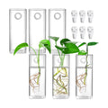 Fasmov 6 Pack Wall Hanging Glass Planters, Terrarium Holders for Air Plants, Succulents, Flowers - Square, Clear Vase