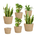 Mumufy 6 Pcs Seagrass Planter Basket Hand Woven Flower Pot Cover, Classic
