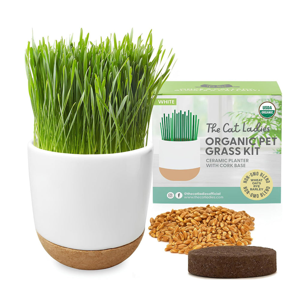 The Cat Ladies Cat Grass for Indoor Cats Kit with Organic Cat Grass Seed Mix, Soil and Ceramic & Cork Planter, Natural