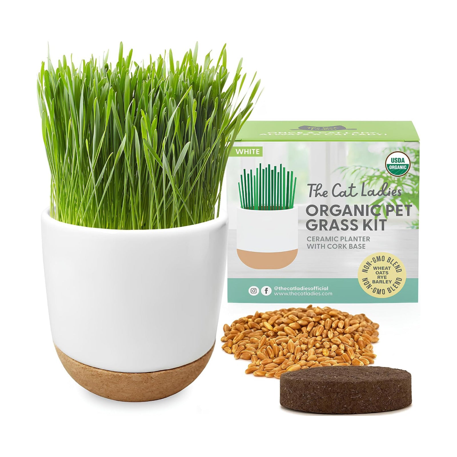 The Cat Ladies Cat Grass for Indoor Cats Kit with Organic Cat Grass Seed Mix, Soil and Ceramic & Cork Planter, Natural