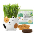 The Cat Ladies Cat Grass for Indoor Cats, Cat Grass Growing Kit with Organic Cat Grass Seed Mix, Soil and Ceramic Cat