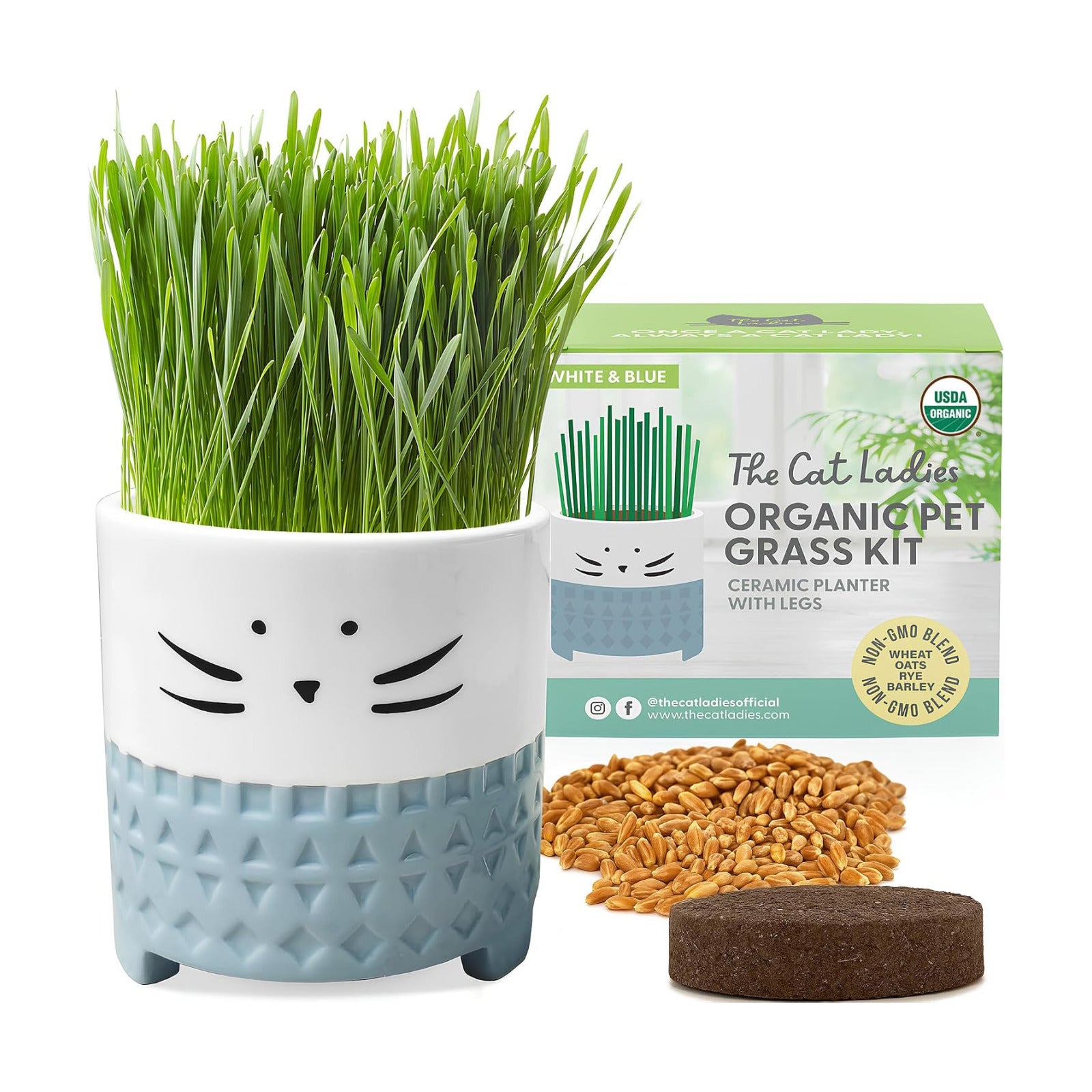 The Cat Ladies Cat Grass for Indoor Cats, Cat Grass Growing Kit with Organic Cat Grass Seed Mix, Soil and Ceramic Cat