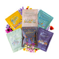 Mountain Valley Seed Co Wildflower Seeds Collection - 500,000+ Bulk Seeds | 6 Wildflower Mixes Including Hummingbird