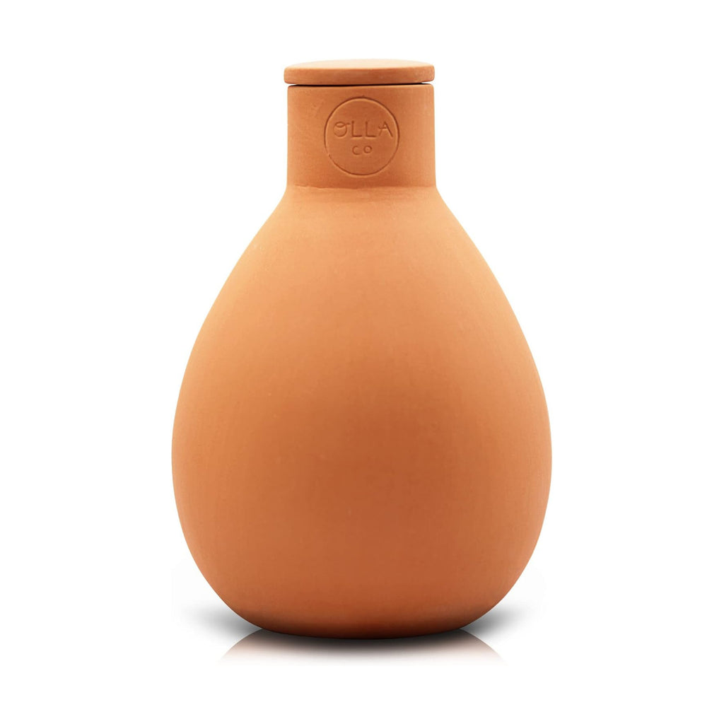 Olla Watering Pot with Lid, Terracotta Self Watering Small | Waters plants up to 2 ft in diameter; for gardens, raised