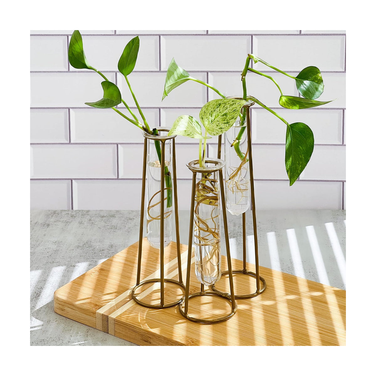 Propagation Station Terrariums with Gold Metal Stand - Kate Aspen 3 Glass Test Tube Planters for Indoor Plant, Air Plants, Plant Clippings, Cut Flowers, Herbs, Succulents | Home Decor Table Decoration