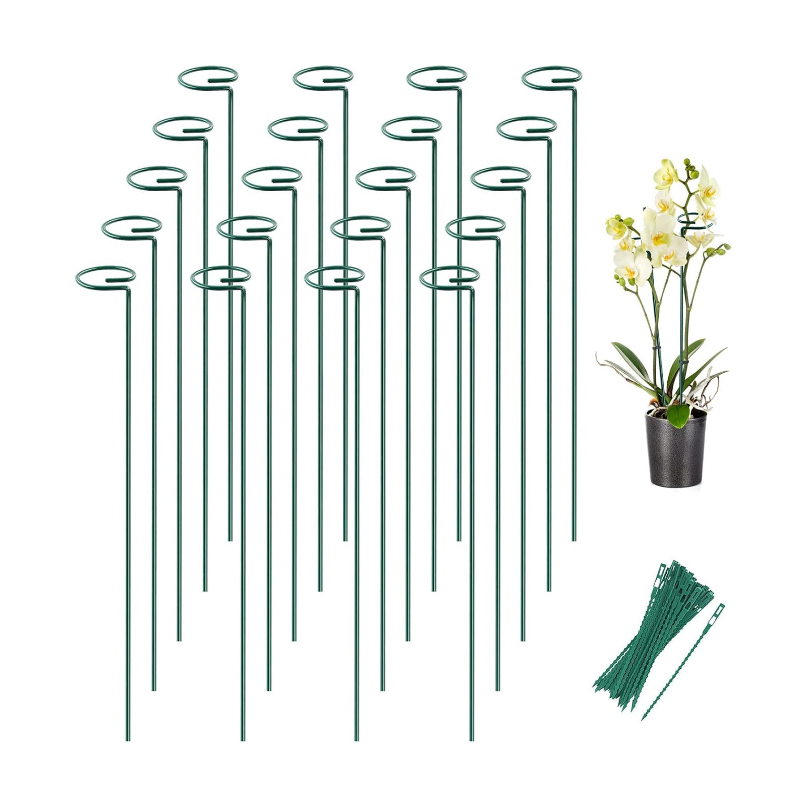 20 Pack 24 Inch Plant Support Stakes for Outdoor Plants and Indoor Flowers | Includes 24 Twist Ties, Sturdy metal