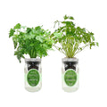 2-Pack Hydroponic Mason Jar Herb Garden Kit, Indoor Herb Garden Self-Watering Starter Kit (Parsley,Cilantro)
