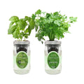2-Pack Hydroponic Mason Jar Herb Garden Kit, Indoor Herb Garden Self-Watering Starter Kit (Basil, Parsley)