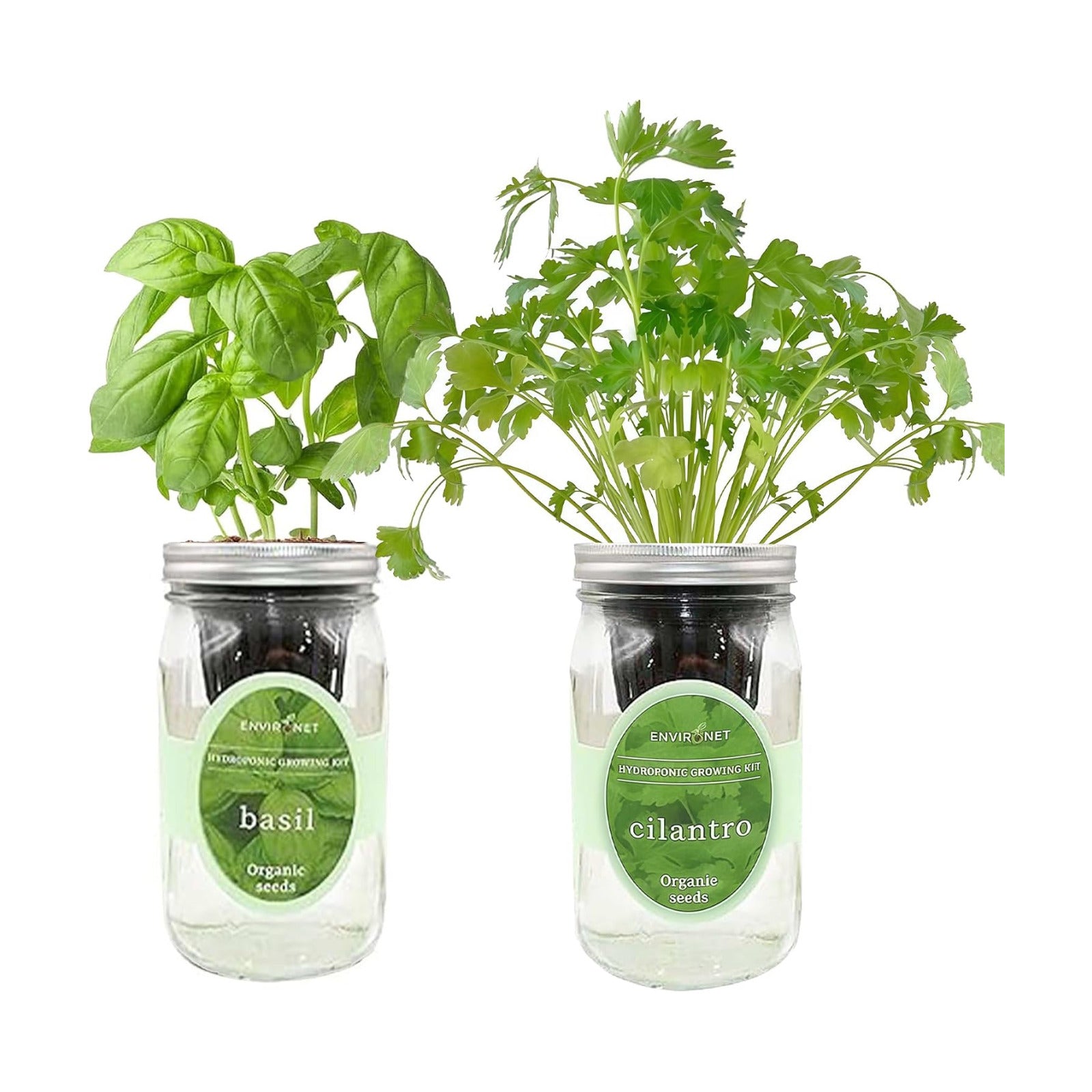 2-Pack Hydroponic Mason Jar Herb Garden Kit, Indoor Herb Garden Self-Watering Starter Kit (Basil,Cilantro)