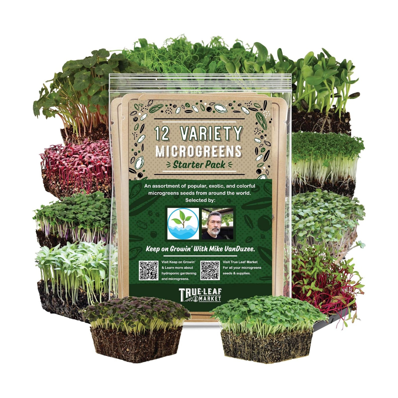 Mountain Valley Seed Co 12 Variety Pack Microgreens Seeds Kit Broccoli Seed | Sprouting Plus Purple Radish, Beet