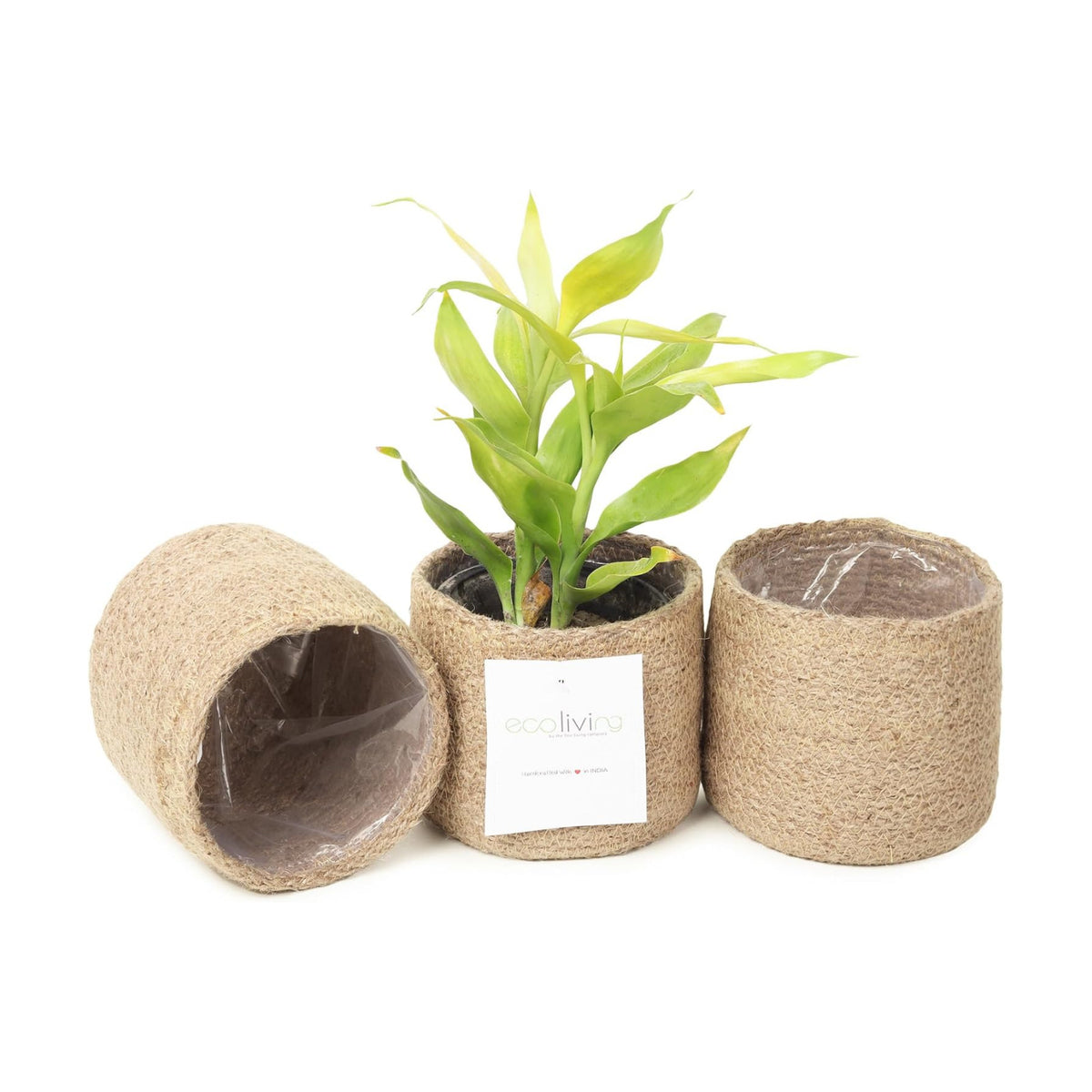 Jute Small Plant Pots Set of 3, 4.5 inches, Natural Jute