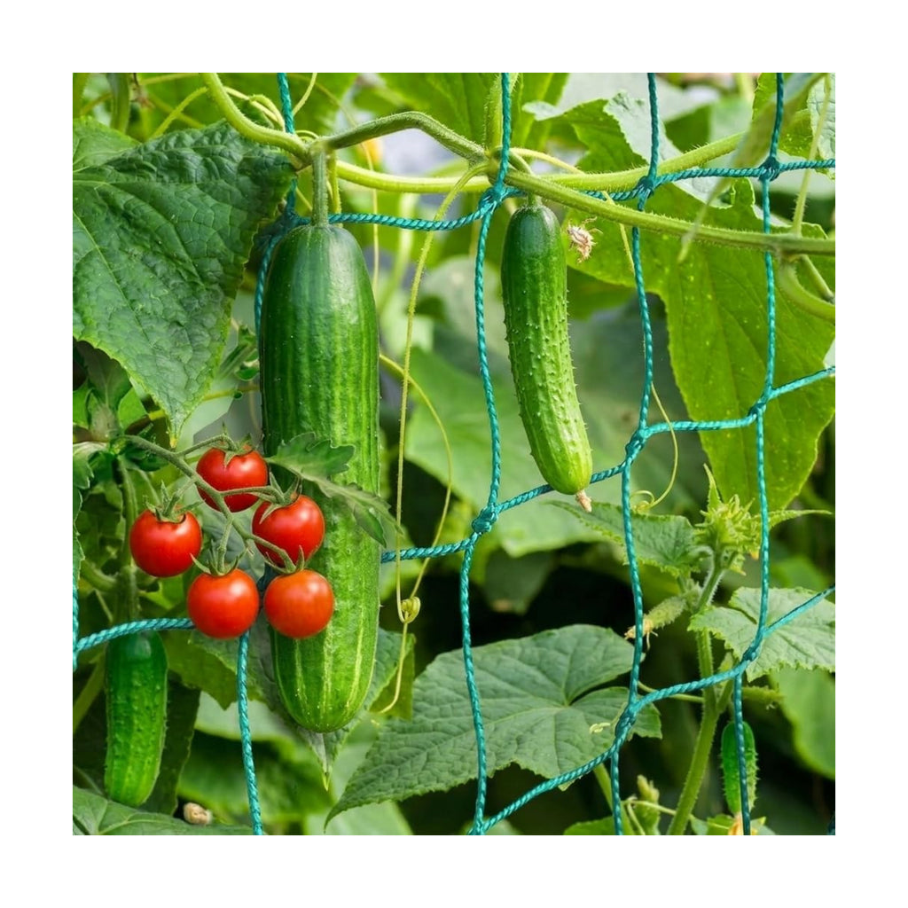 Trellis Netting, Heavy-Duty Garden Grow Netting for Climbing Plants, Outdoor Indoor Net for Cucumber, Tomatoes, Beans