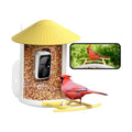 NETVUE by Birdfy Smart Bird Feeder with AI Camera, Auto Capture Videos & Live Steam, Wireless Wildbird Watching, Outdoor Backyard Birder(AI by Subscription) Yellow
