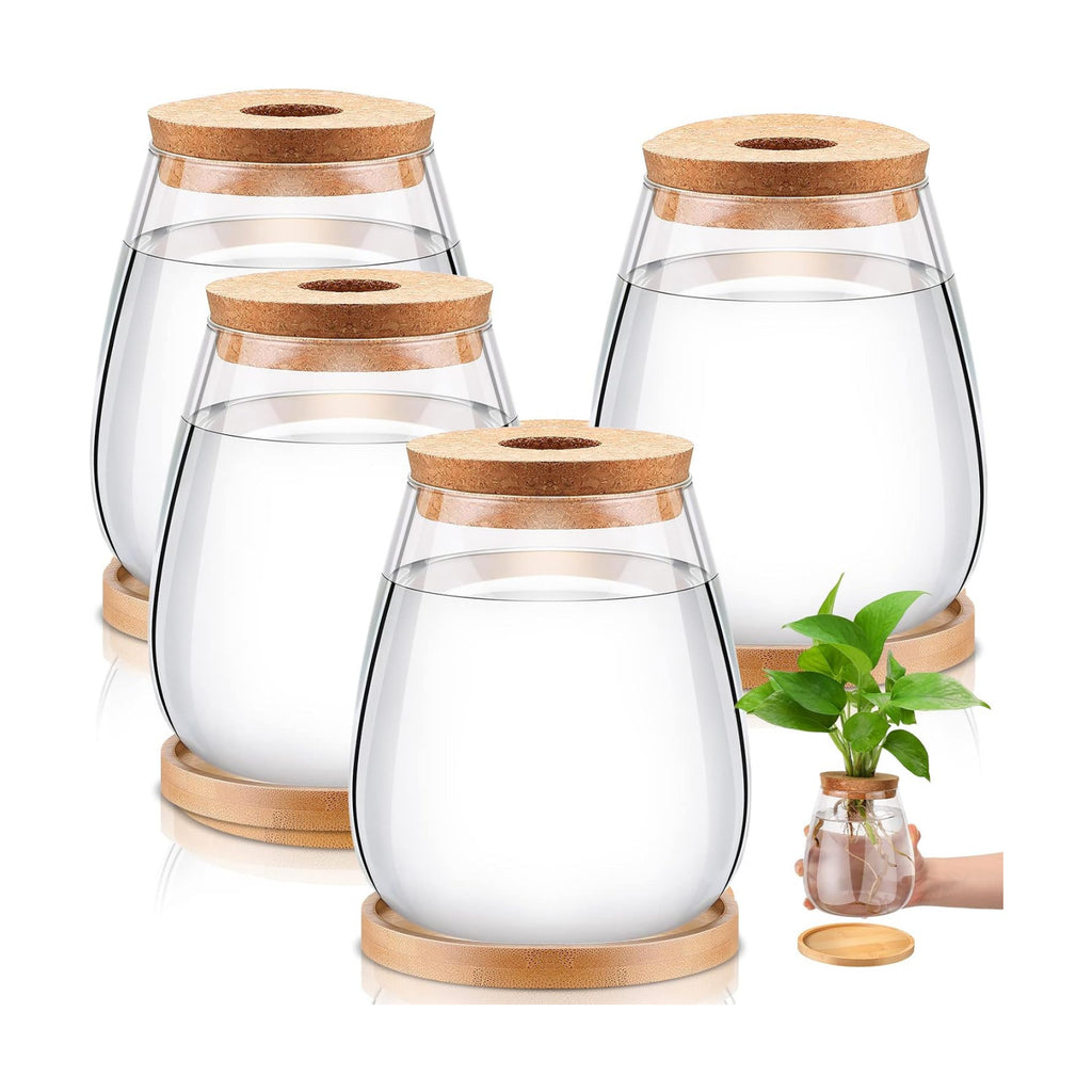 Nuanchu 4 Pcs Desktop Plant Terrarium Plant Propagation Vase Propagation Jars Glass Containers Air Planter Water