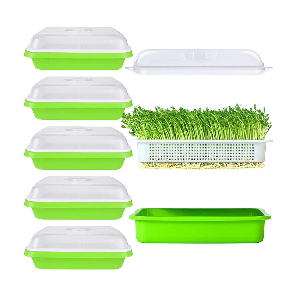 SHUESS 6 Pack Seed Sprouting Tray with Drain Holes BPA Free Nursery Tray Microgreens Growing Trays Wheatgrass Grower
