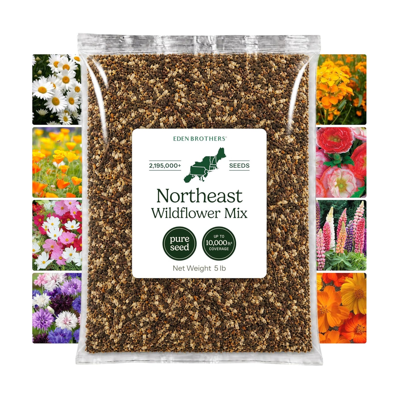 Eden Brothers Northeast Wildflower Mixed Seeds for Planting, 5 lb, 2,400,000+ Seeds with Cosmos, Candytuft, Shasta