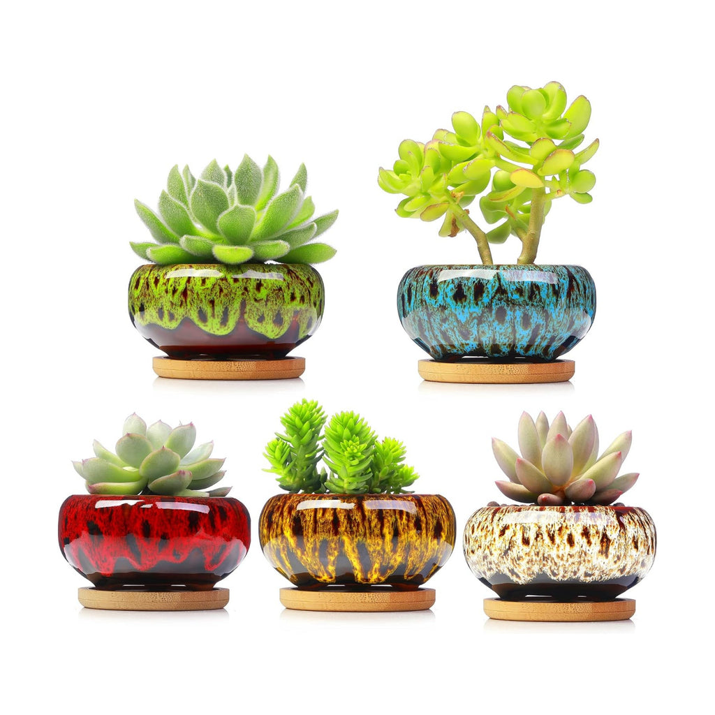 Cute Ceramic Succulent Garden Pots, Planter with Drainage and Attached Saucer, Set of 5 -Plants Not Included (Vivid