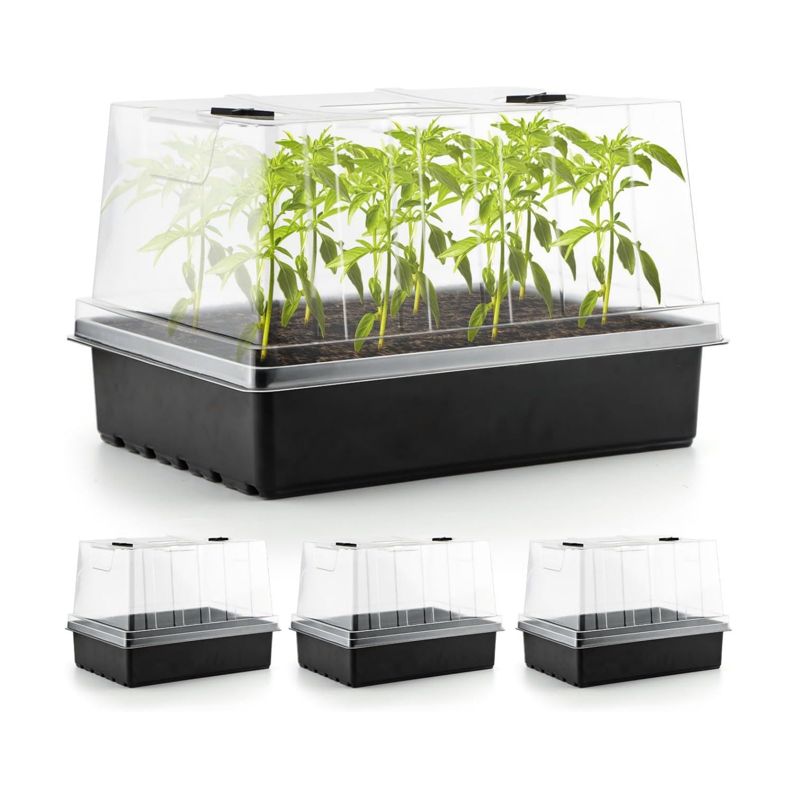 RooTrimmer 4-Pack Seed Starter Trays with 5" Tall Humidity Domes | Reusable Seed Germination Kit for Cuttings