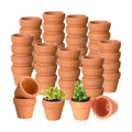 Gerrii 50 Pcs Mini 1. 2 Inch Terracotta Pots Bulk Small Clay Tiny Miniature Cactus Flower Succulent Plant Nursery Pots