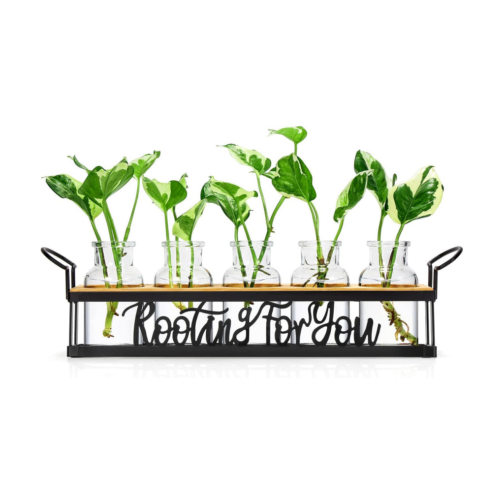 Plant Propagation Station "Rooting for You" Hydroponic Planter Vase | 5 Glass Propagation Jars with "Rooting for You"