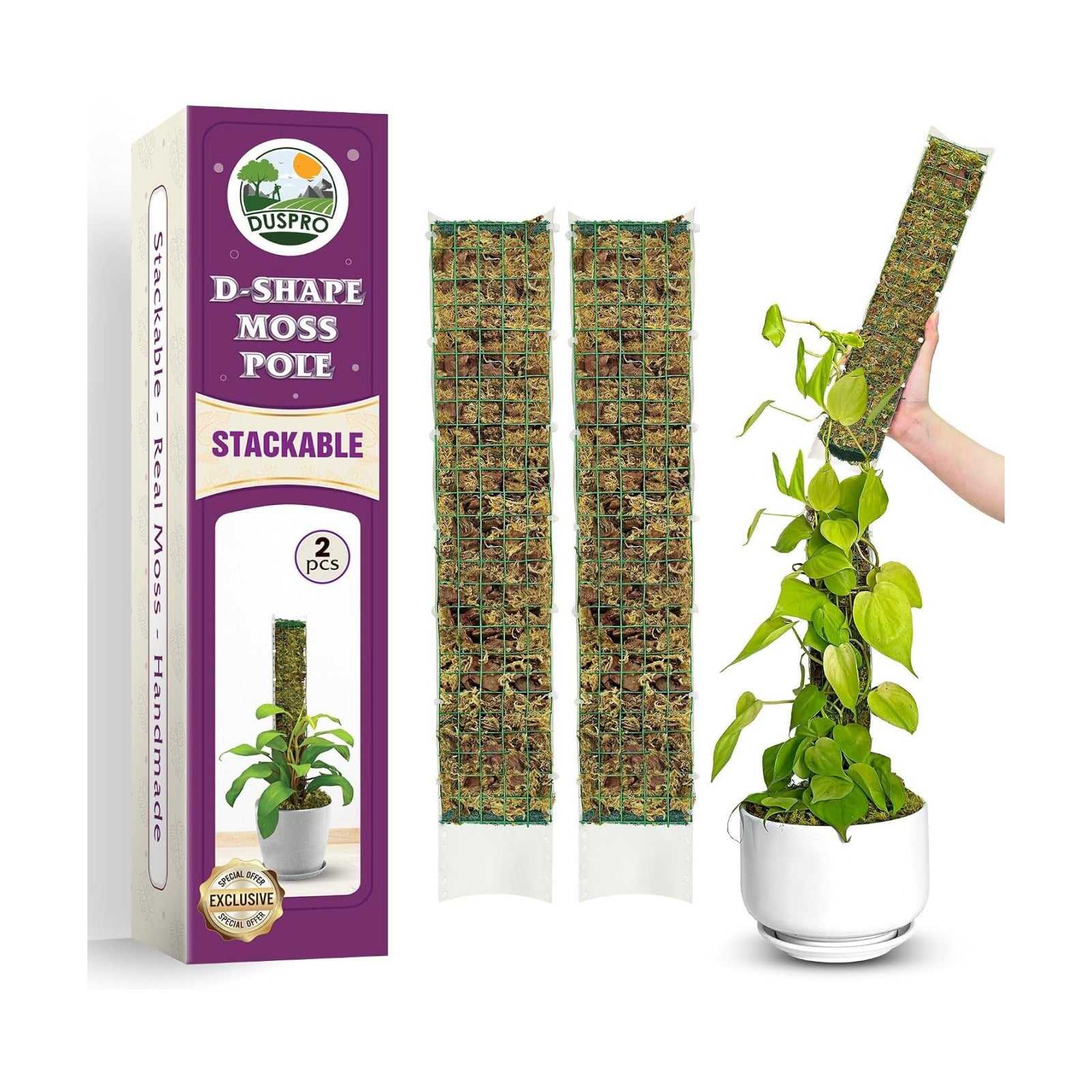2 Pack 16.5" D-Shaped Plastic Stackable Moss Poles | Extendable Up to 30", Pre-Made & Easy To Set Up, Moss Pole for