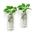 Wall Hanging Planter Propagation Station, Indoor Decor Glass Vases, 2 Pack