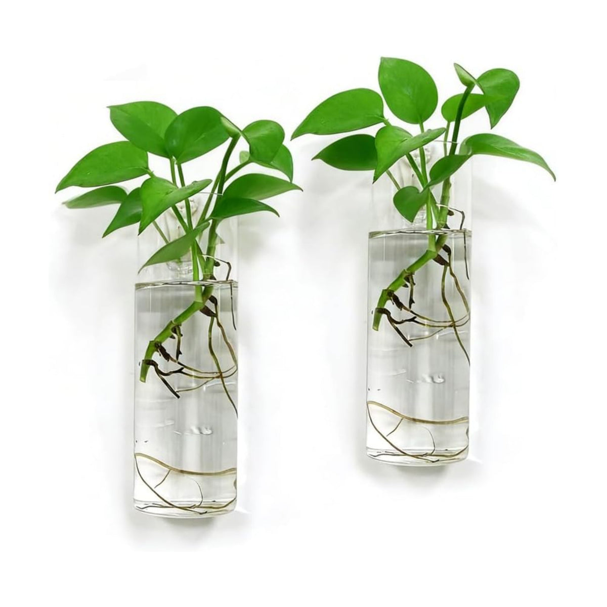 Wall Hanging Planter Propagation Station, Indoor Decor Glass Vases, 2 Pack