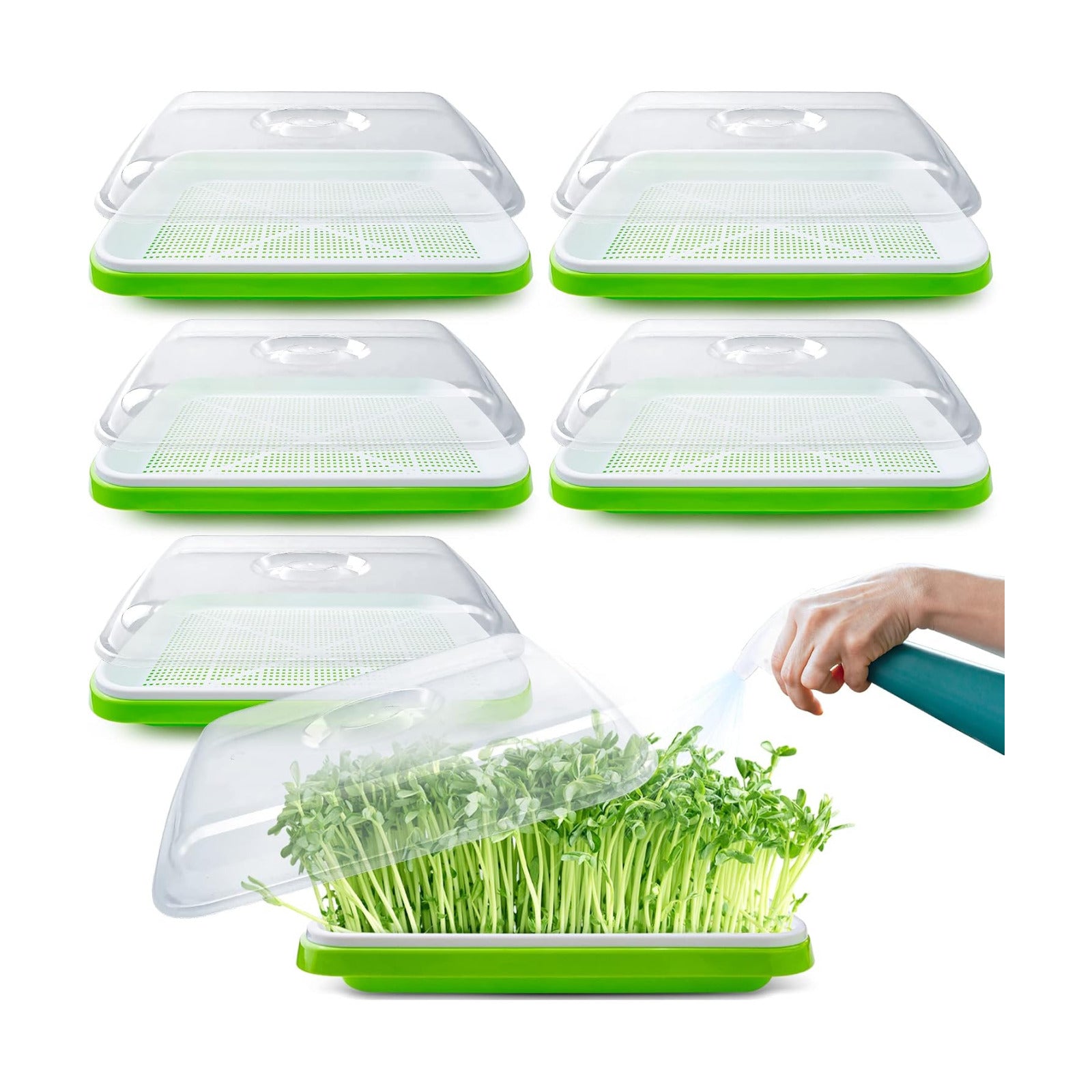 Seed Sprouter Tray with Drain Holes,Seed Germination Tray Kit BPA Free Nursery Tray,Soil-Free Big Capacity Healthy