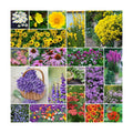 Eden Brothers Perennial Pollinator Wildflower Mixed Seeds, 1/4 lb | Mixed Seeds for Planting, 120,000+ Seeds with Blue