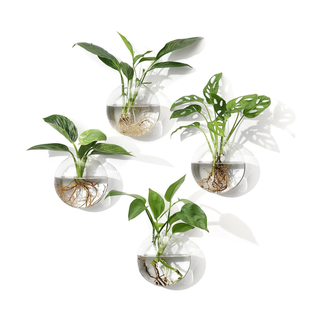 Wall Propagation Planters, 4 Pack Oblate Hanging Plant Holder Vase