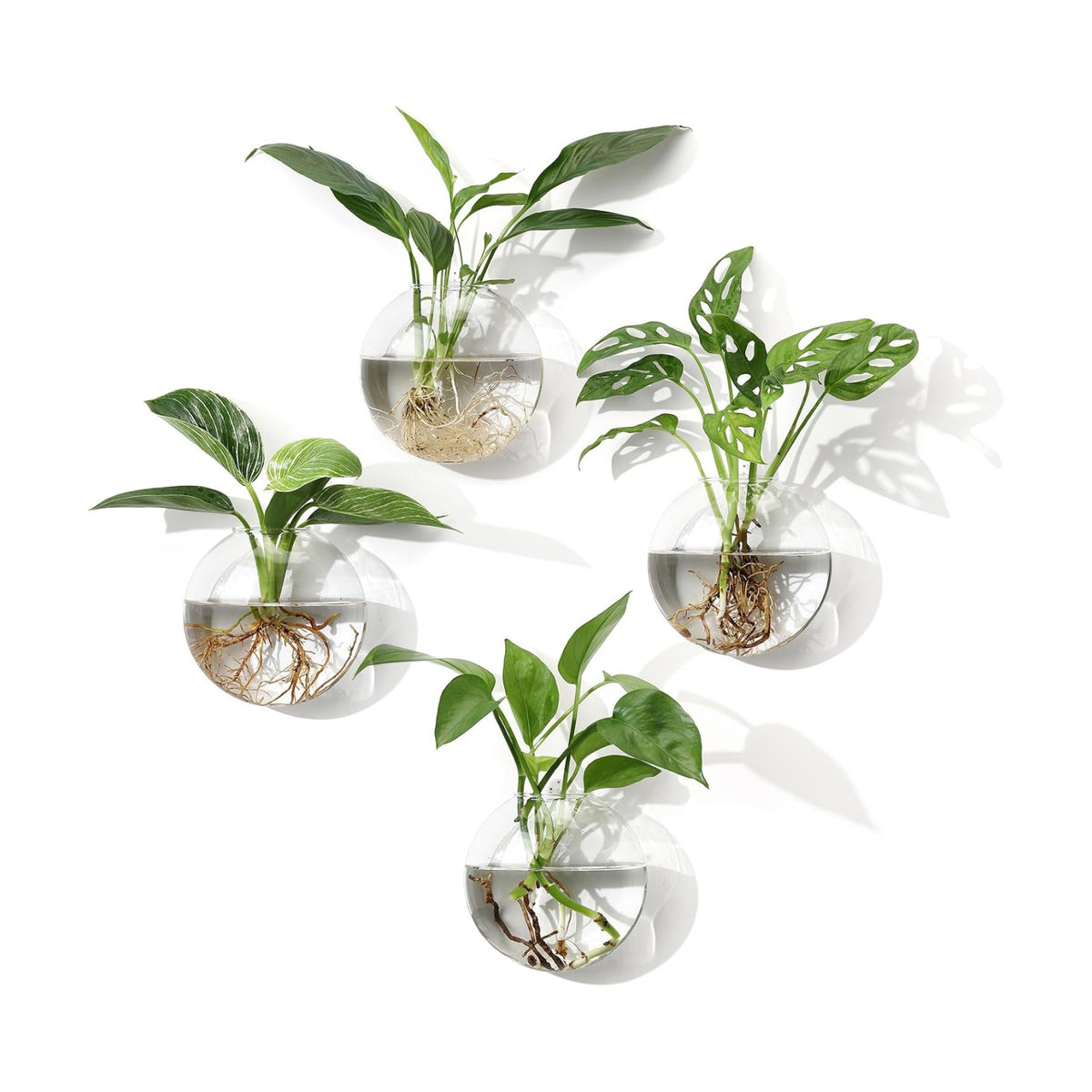 Wall Propagation Planters, 4 Pack Oblate Hanging Plant Holder Vase