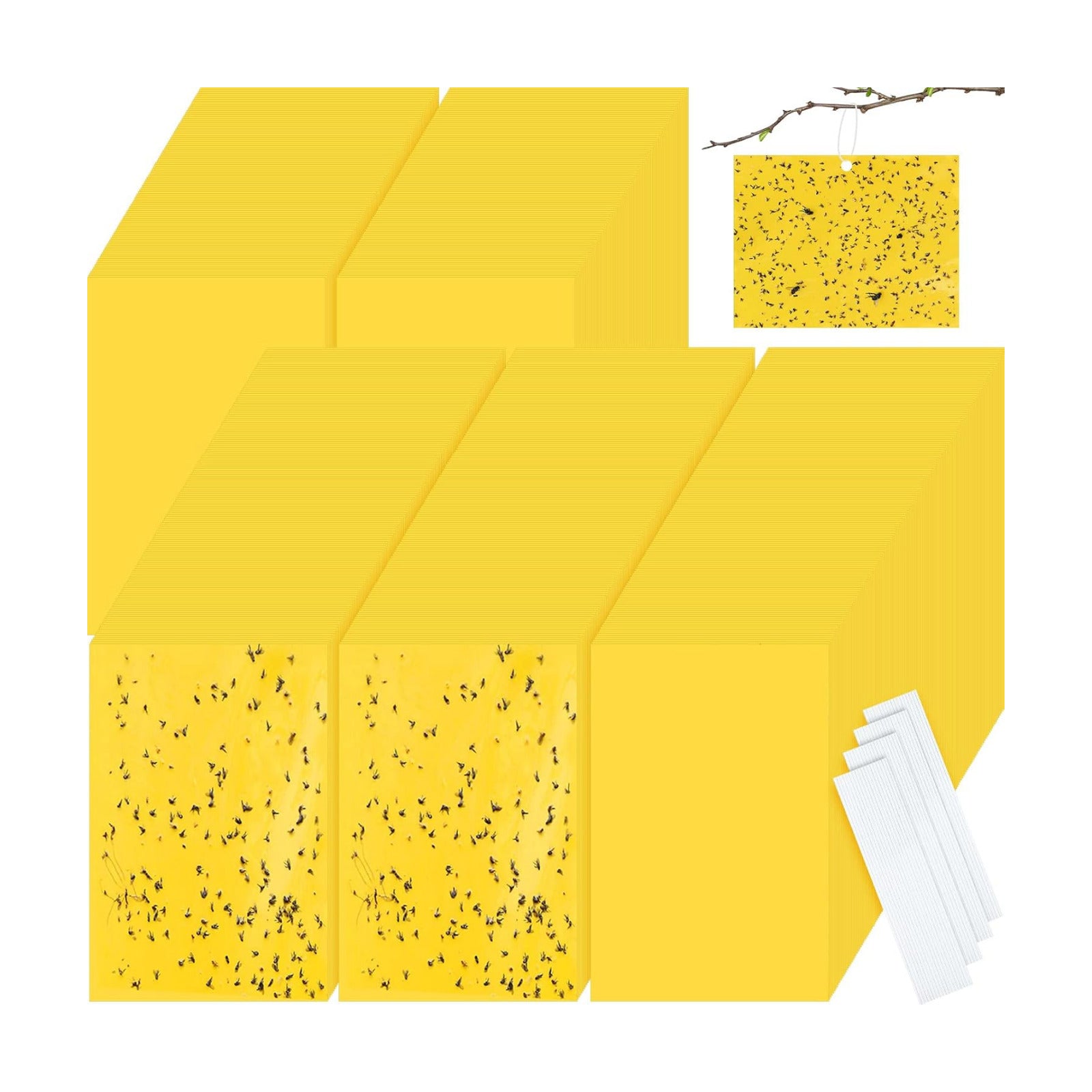 Qualirey 700 Pcs 6x8 Inch Yellow Sticky Traps for Gnats, Dual-Sided Sticky Gnat Traps for Indoor Outdoor, Fly Catcher