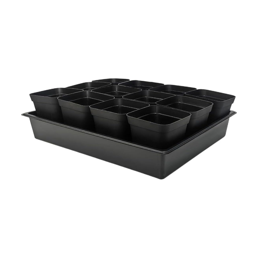 RooTrimmer 3.5 inch (9CM) Square Nursery Pots 60pcs, Sturdy Seedlings Trays 5 Pcs, Seeds Starter Germination Tray, Microgreenings Planter Nursery Propagation 5 Sets
