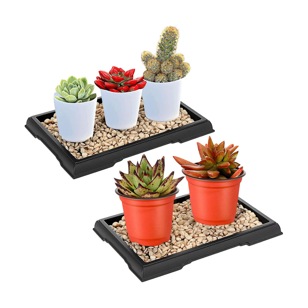 Pinkunn 2 Pcs Bonsai Humidity Tray for Indoor Plants,7.8 X 5.5 Inch