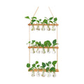 XXXFLOWER Wall Hanging Propagation Station 5 Bulb Vase 3 Tiers | Hanging Plant Holder Wall Hanging Planters for Indoor