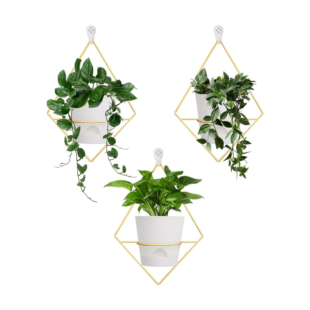 Koalaime 3 Sets Wall Planters for Indoor Plants Geometric Hanging Planters for Indoor Plants - Self-Watering Flower