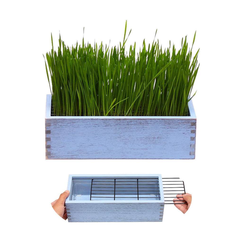 Wooden Cat Grass Planter (no Seeds Included) for Indoor Cats | Anti-Digging Design, Removable Plastic Liner, Easy to