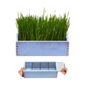 Wooden Cat Grass Planter (no Seeds Included) for Indoor Cats | Anti-Digging Design, Removable Plastic Liner, Easy to