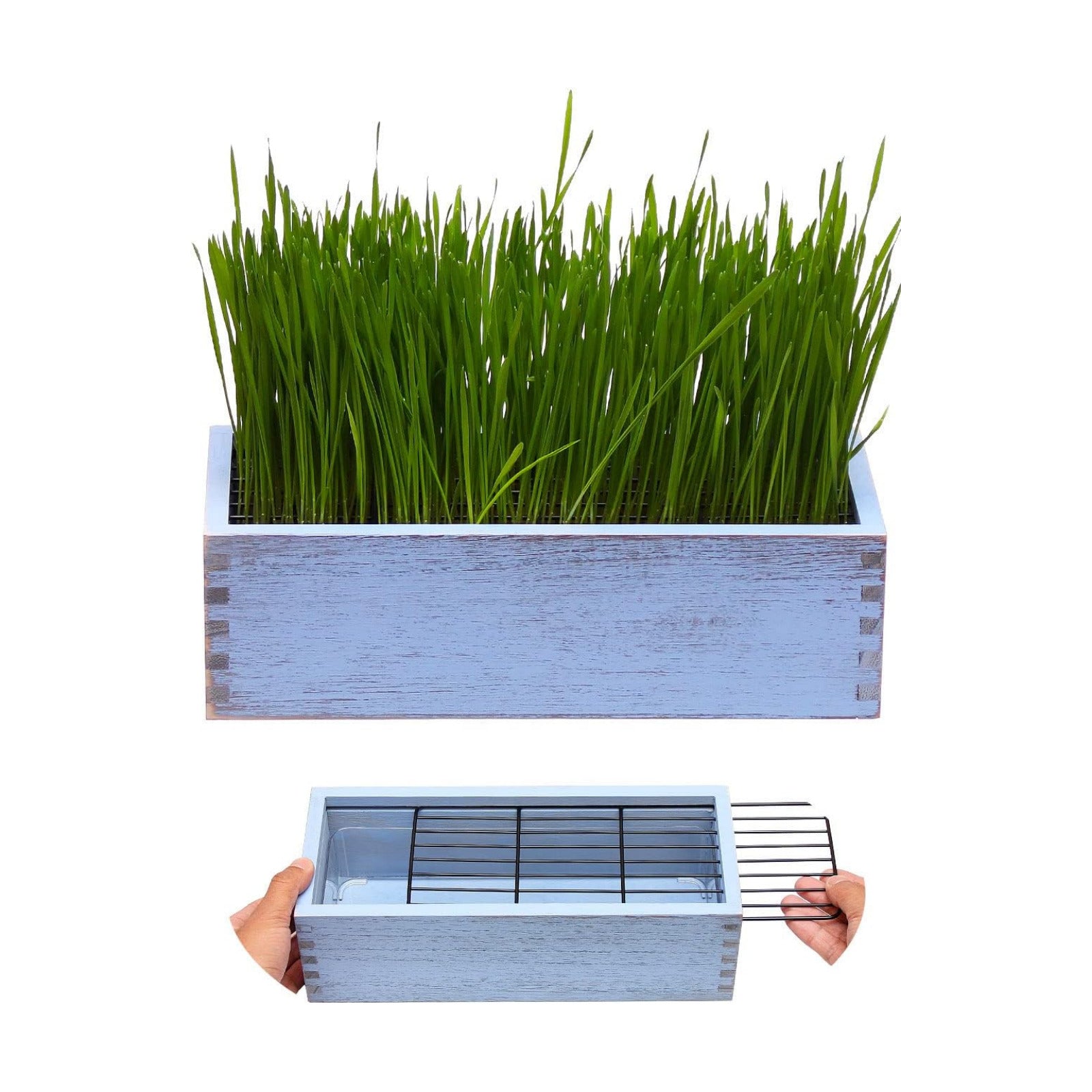 Wooden Cat Grass Planter (no Seeds Included) for Indoor Cats | Anti-Digging Design, Removable Plastic Liner, Easy to
