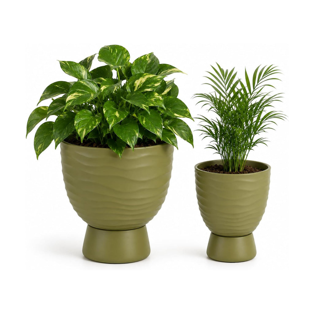 Green Terracotta Self Watering Plant Pots, 6 and 8 Inch with Saucers | Small and large clay flower pots with drainage