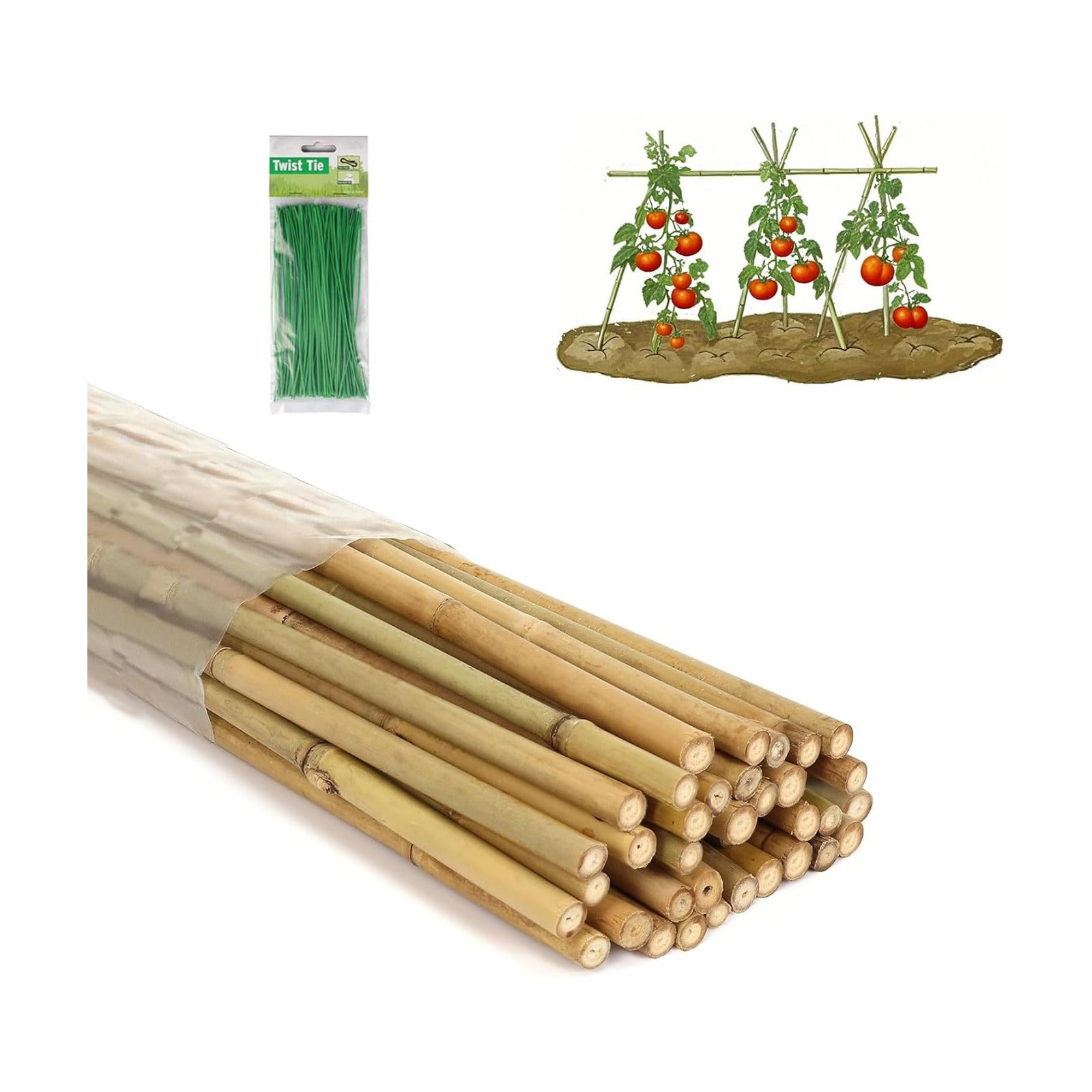 4 Ft Bamboo Stakes with 100 Twist Ties Natural Bamboo Garden Stakes for Tomatoes Cucumber Grapes Pole Beans Trees