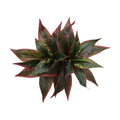 Artificial Agave Fake Plants Red 2 Pack, 10 Inches Faux Shrubs Flowers Grass Plant for Wedding Party Office Indoor Outdoor Home Yard Garden Greenery Leaves Decor UV Resistant Planter Filler Decoration