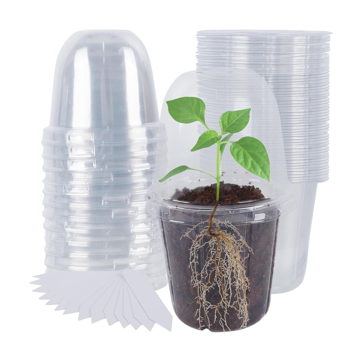 winemana 36 Set Nursery Pots with Humidity Dome, Clear Nursery Pots for Plants, Seed Starting Pots with Drainage Holes & Plant Labels for Vegetables Flowers Garden Plants